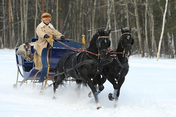 Horse drawn sled in Kuskovo